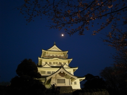 ライトアップした郷土博物館