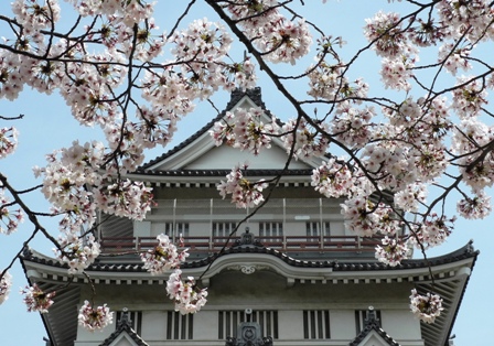 桜と郷土博物館