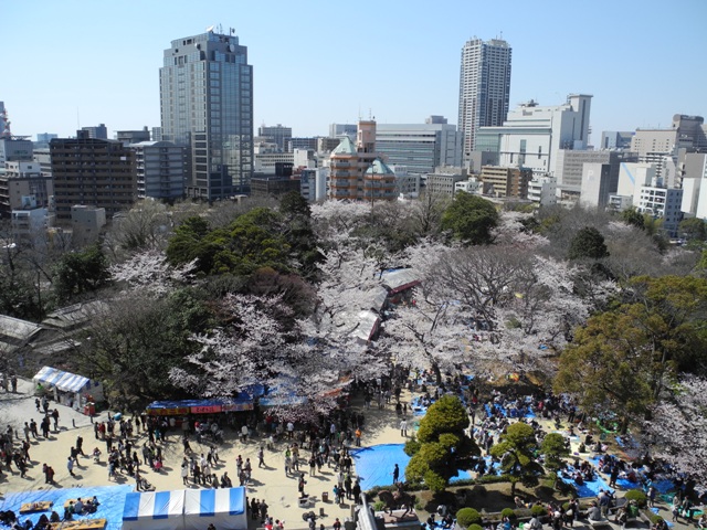 展望から亥鼻公園