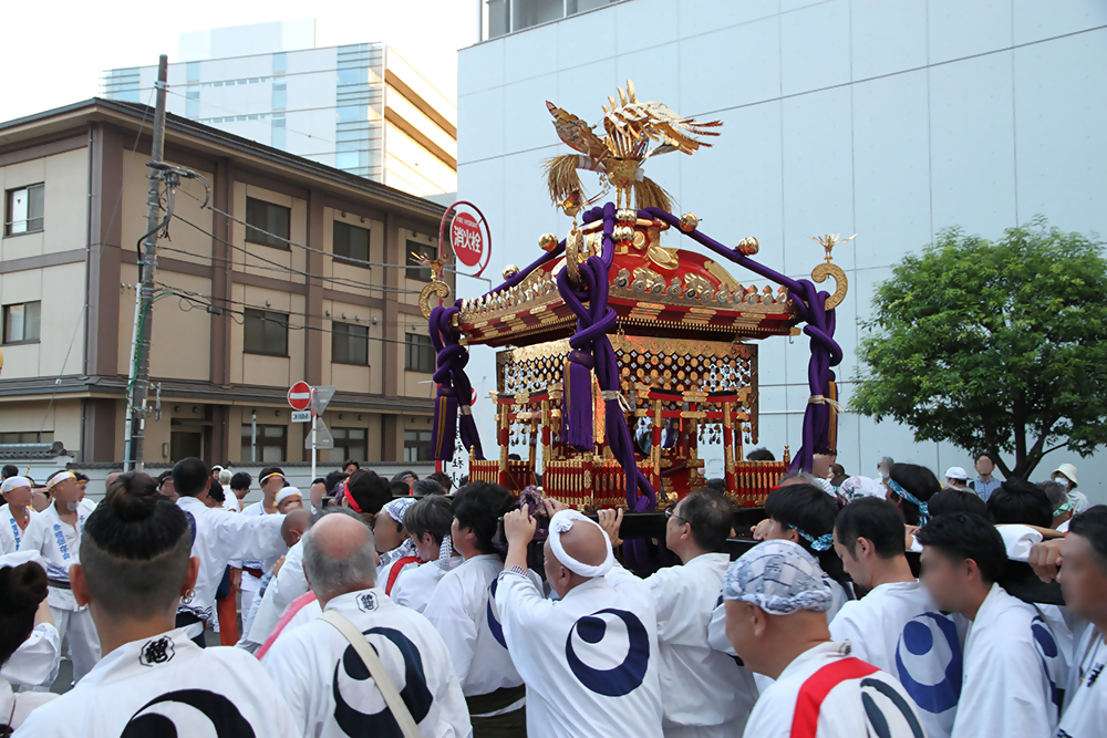 千葉神社妙見大祭神輿渡御