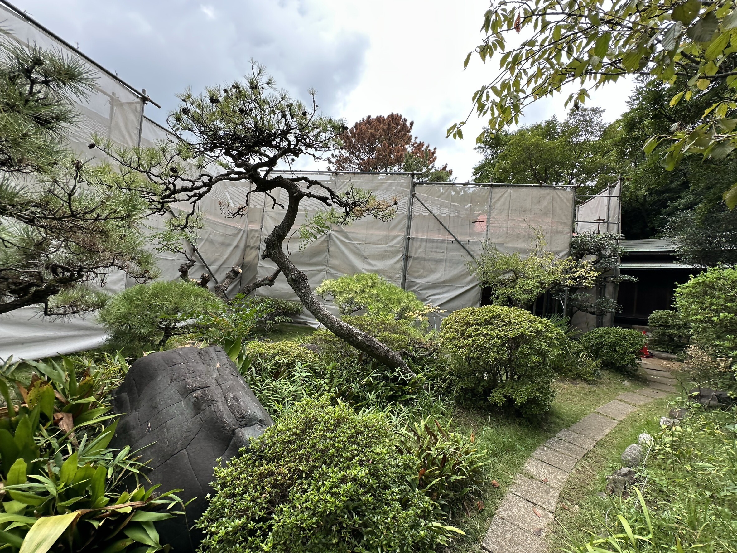 ゆかりの家工事_中庭から