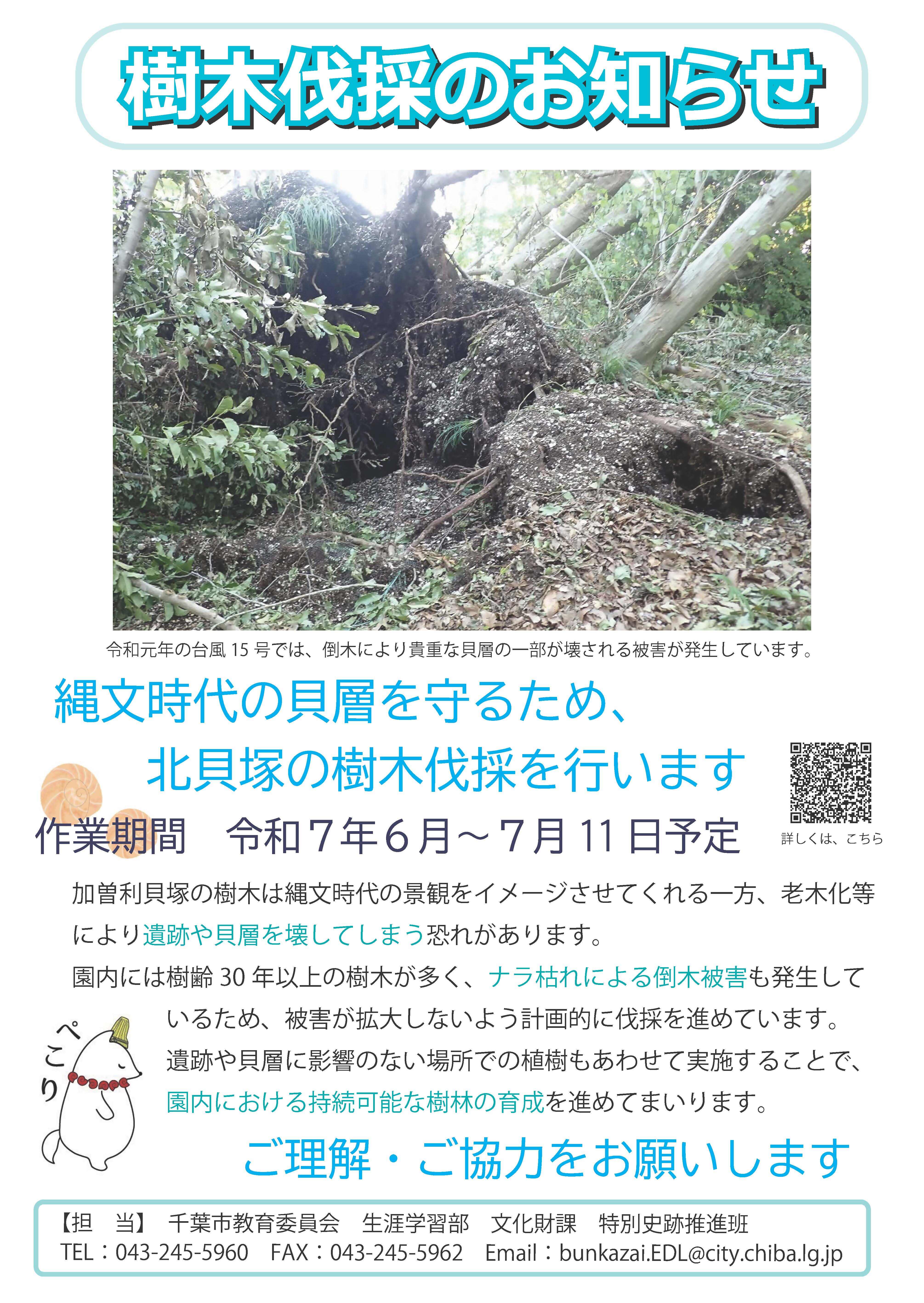 樹木伐採のお知らせ