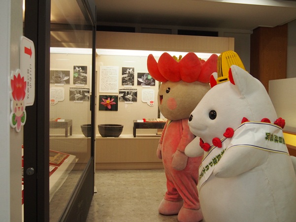 かそりーぬとちはなちゃん見学2