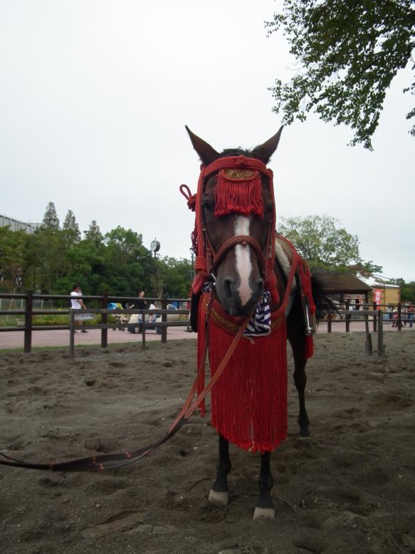 20180922_騎馬武者体験サンターノくん