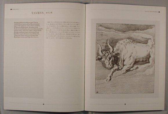 ブロティウスの星座図帳_内容