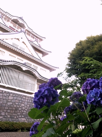 20180605_あじさいと城