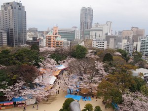 亥鼻公園