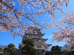 お城と桜