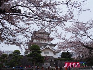 お城と桜