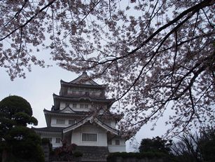 お城と桜