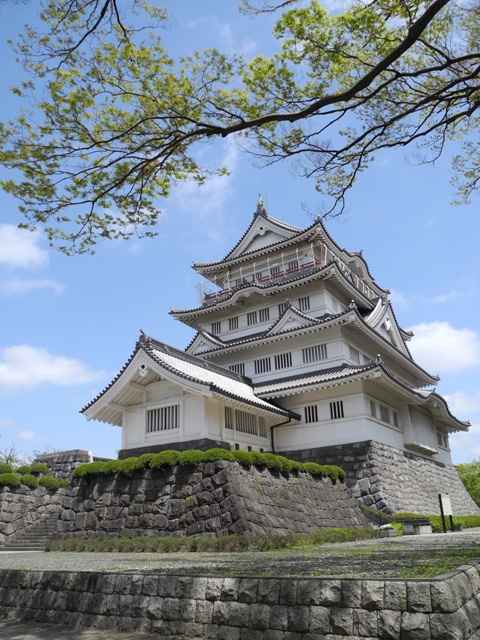 新緑の郷土博物館
