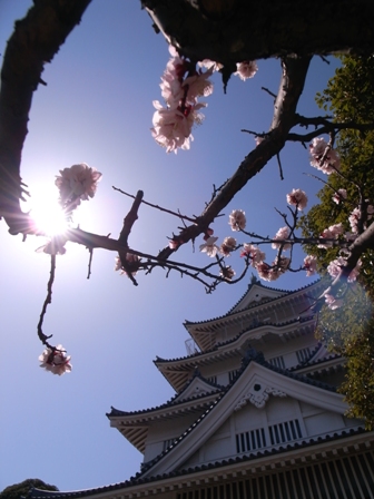 梅と郷土博物館