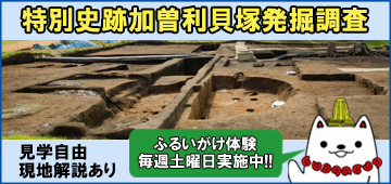 特別史跡加曽利貝塚発掘調査　見学自由現地解説あり