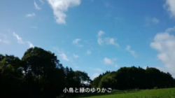 まちカフェ動画出演者2