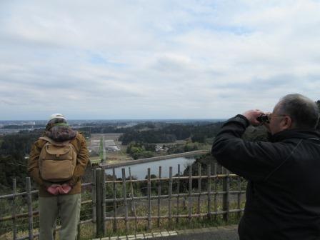 昭和の森展望台