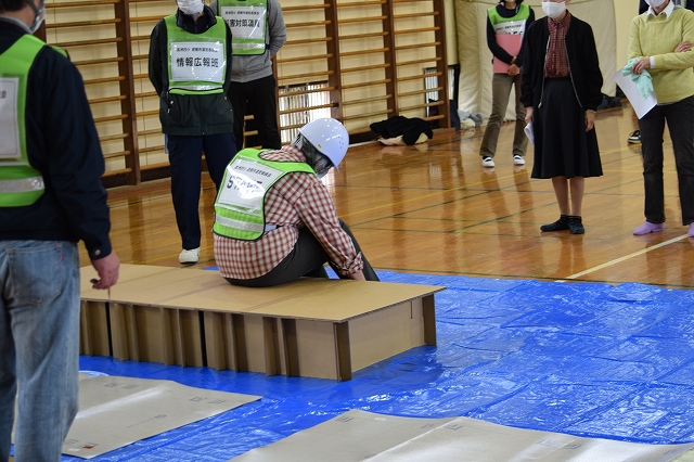 ダンボールベット