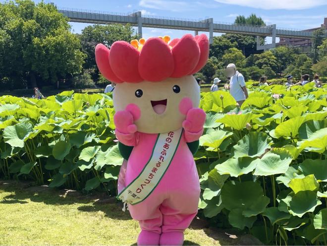大賀ハスまつり２０２６ちはなちゃん