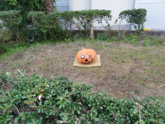 カボチャの重さ