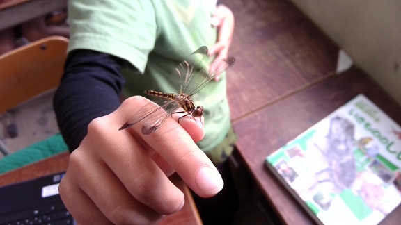 浜風に吹かれて8月4日1