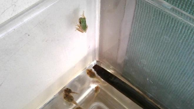 浜風に吹かれて8月5日