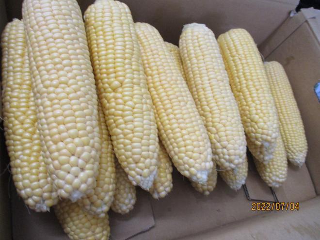 R4とうもろこし皮むき3