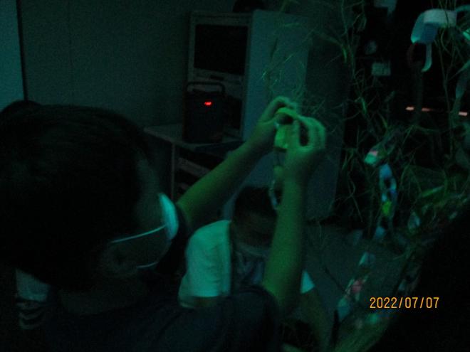 R4げんきキャンプ3