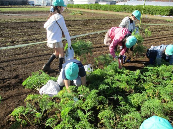 4年度校外学習3年生1