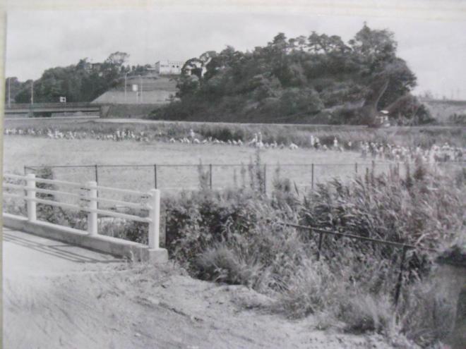 昔の遊歩道付近