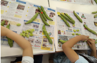 soramame