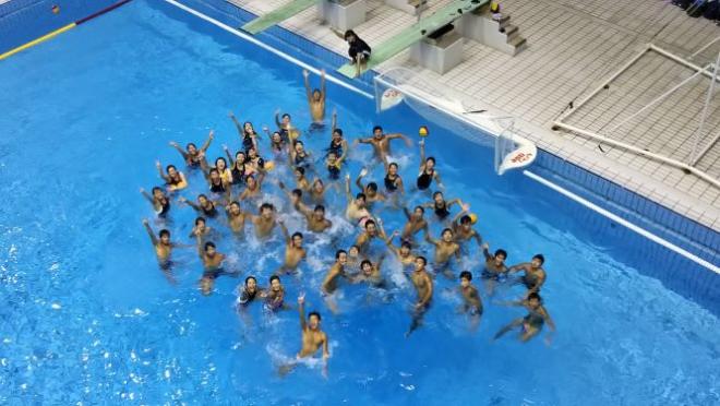 水泳部の活動の様子