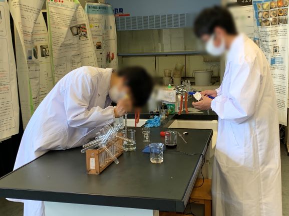 物理化学部の活動の様子