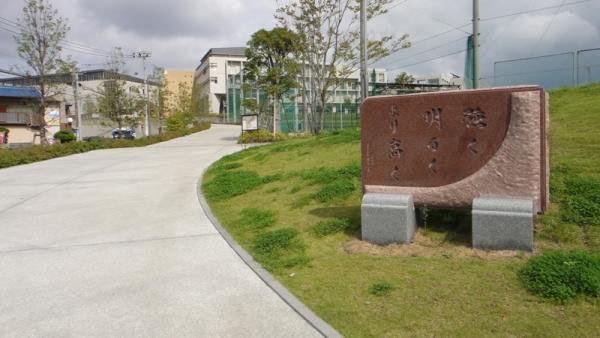 トップ3