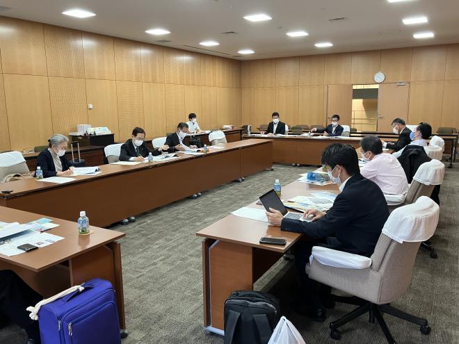 鹿児島市観光未来戦略