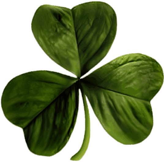 shamrock
