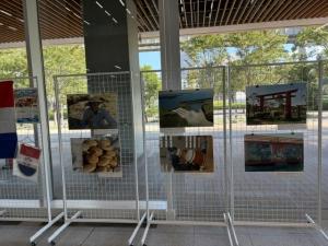 パネル展示