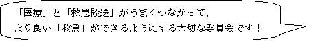 「医療」と「救急搬送」がうまくつながって、より良い「救急」ができるようにする大切な委員会です！