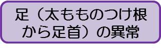 足（大人）