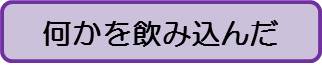 何か（大人）