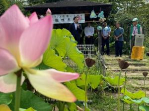 花園ハスまつり