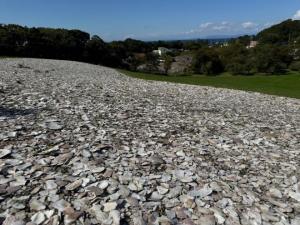 北黄金貝塚 視察