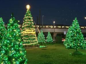 幕張豊砂エリア イルミネーション 視察