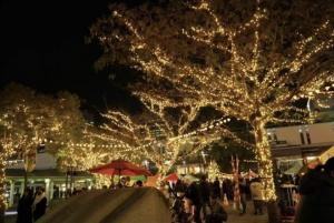 スイス・クリスマスマーケット inマクハリ2024 視察