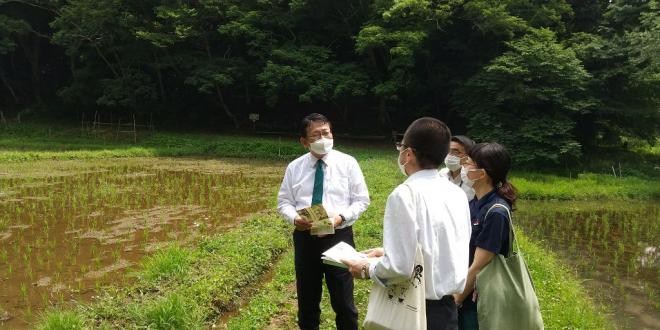 大草谷津田視察