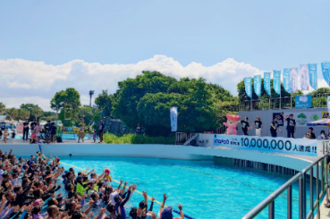 1000万人稲毛プール