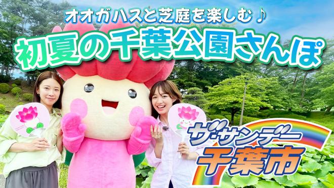 ザ・サンデー千葉市2026年6月放送サムネイル
