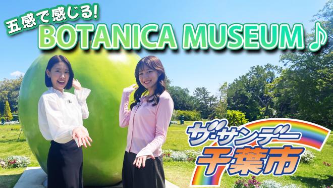 サンデー2026年5月サムネイル
