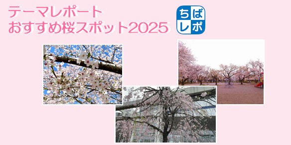 テーマレポート桜2025