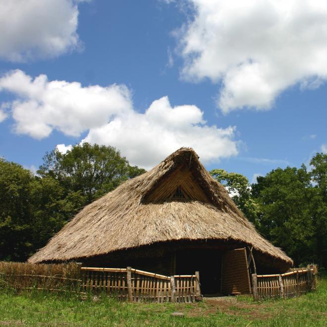 加曽利貝塚の画像