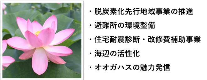 100年先に引き継ぐ（オオガハス）