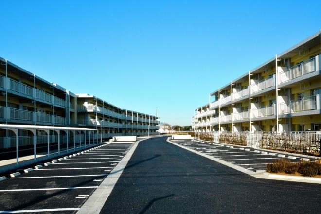 miyanogi1H26_11_shin